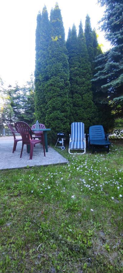 Apartamenty Z Ogrodem Nr 1 Studio Mrągowo Εξωτερικό φωτογραφία